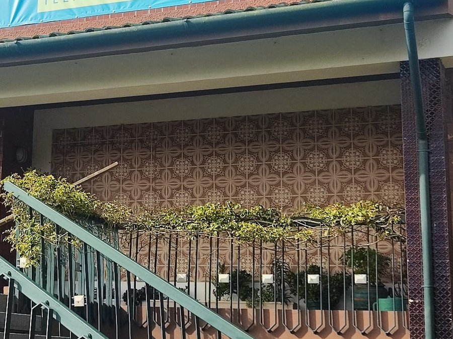 Varanda com plantas e zona exterior